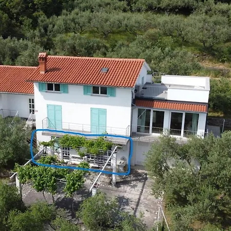 House Among Olive Trees With A Sea View 3