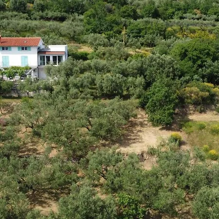 House Among Olive Trees With A Sea View 3 Apartment *