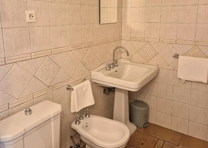 House Among Olive Trees With A Sea View 3 Ankaran